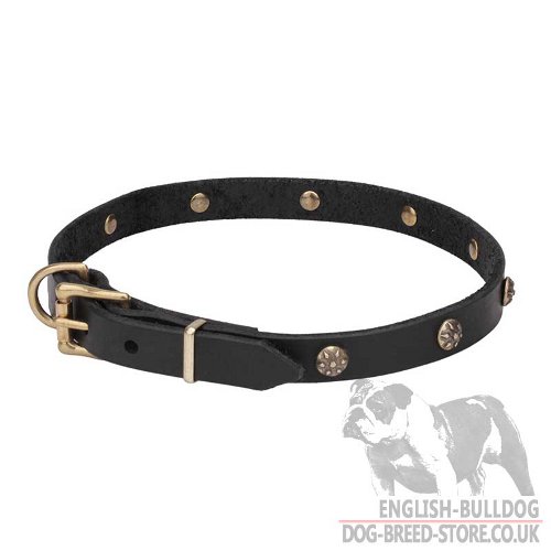 Unusual Dog Collar for Sale UK