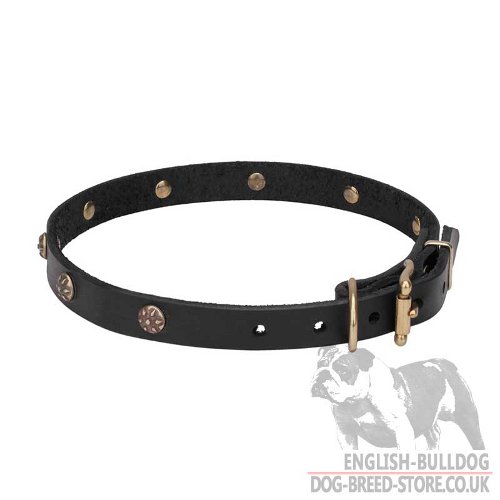 Unusual Dog Collars UK