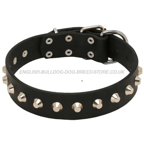 Walking Dog Collar