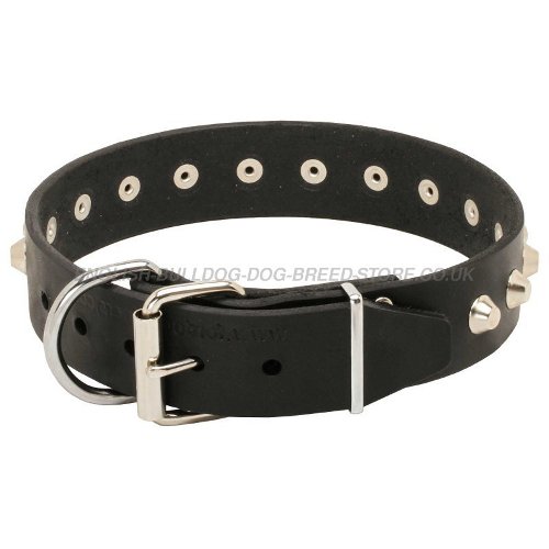 Walking Dog Collars