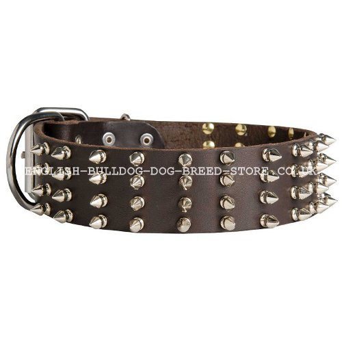 Wide Spiked Dog Collar UK