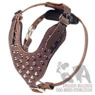 Dog Harness for British Bulldog and American Bulldog