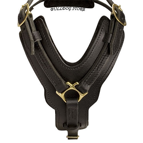 Padded Dog Harness