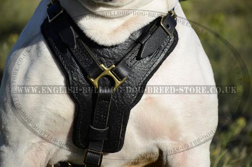 Padded Leather Dog Harness