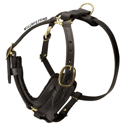 Luxury Dog Harness