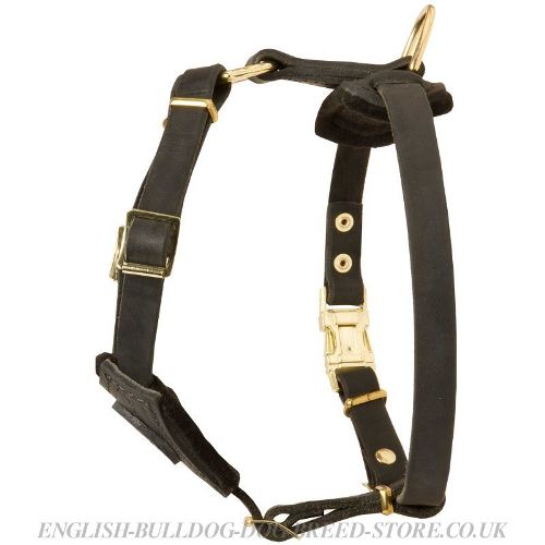 Small Dog Harness