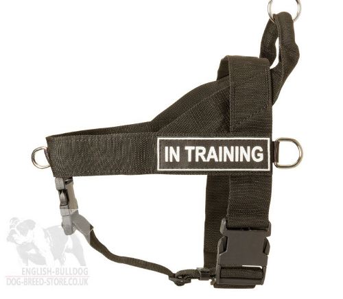Dog Training Harness UK