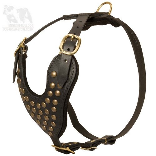 Walking Leather Dog Harness