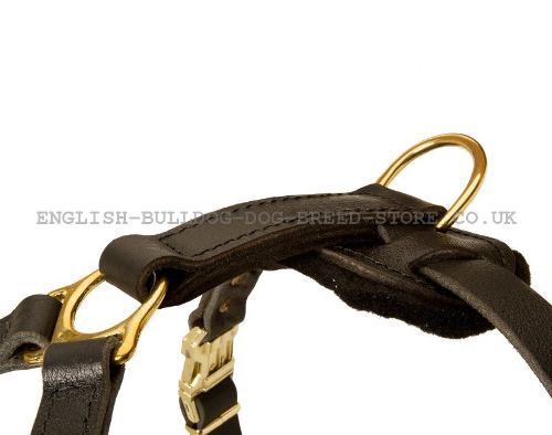 Large Dog Harness UK for Bullmastiff