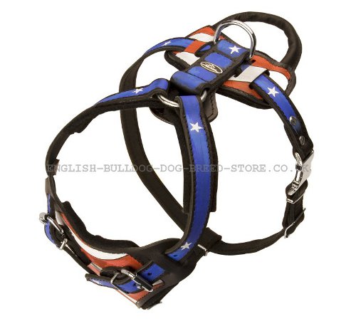 Unique Dog Harness