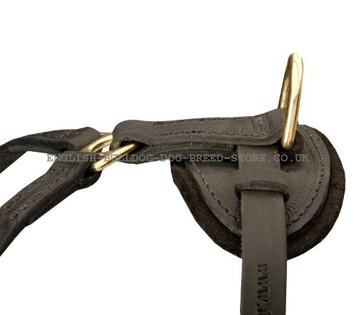 Harness for Bullmastiff UK