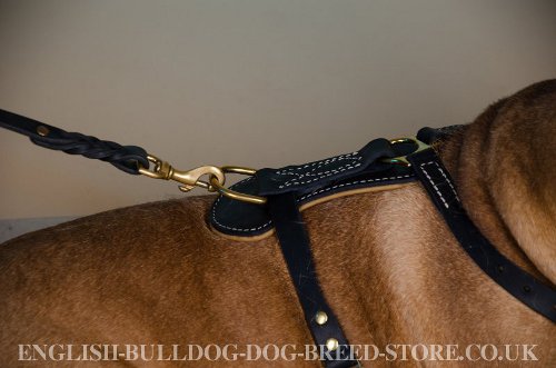 Luxury Dog Harness for Bullmastiff UK