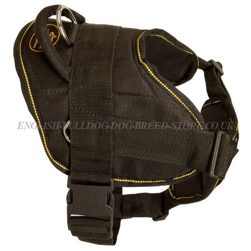 Dog Harness Chest Plate UK for Bullmastiff