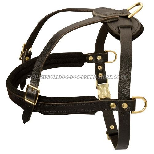 Dog Pulling Harness UK