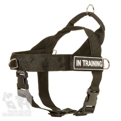 No Pull Dog Training Harness