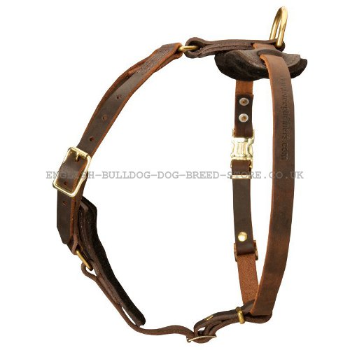 Easy Walk Dog Harness for Bullmastiff UK