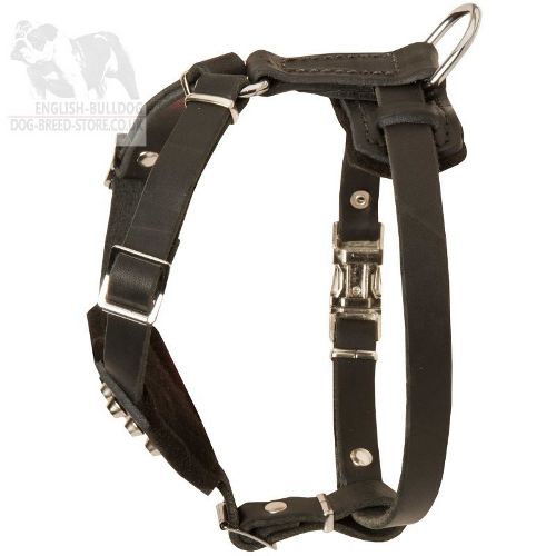 Easy Walk Harness