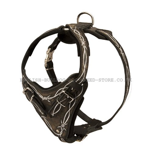 Designer Dog Harness