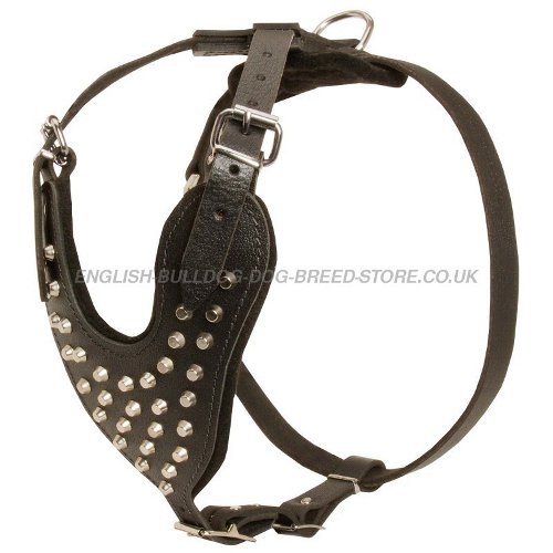 Studded Leather Dog Harness