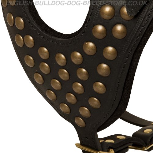 Dog Studded Harness