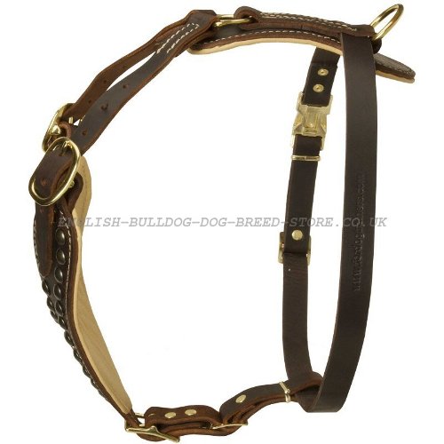 Studded Dog Harness UK