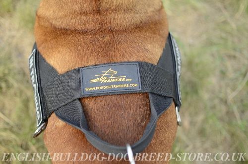 Dog Harness with Handle UK