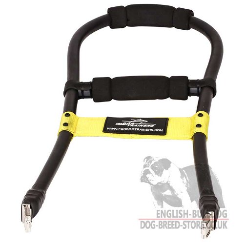 Guide Dog Harness UK