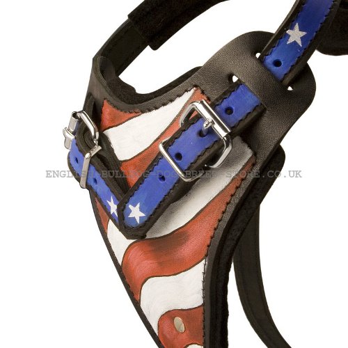 Handmade Leather Dog Harness UK