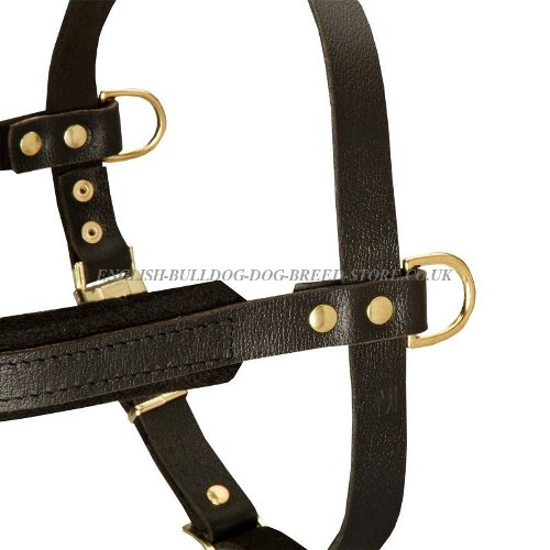 Dog Pulling Harness for Sale UK