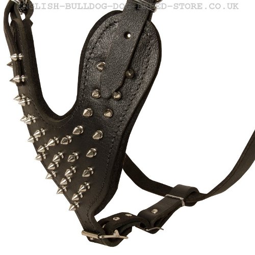 Spiked Dog Harness