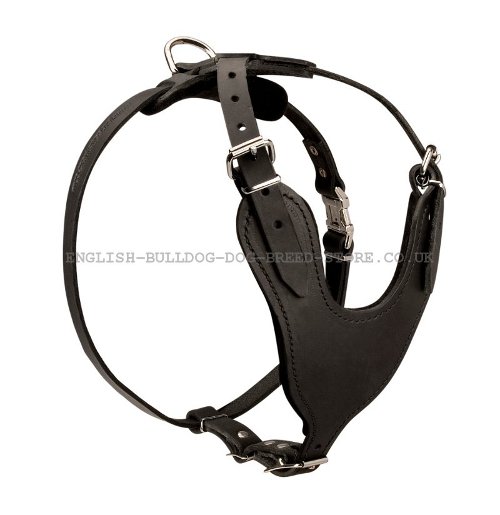 Working Harness for Bullmastiff UK