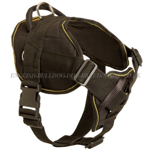 Dog Chest Harness