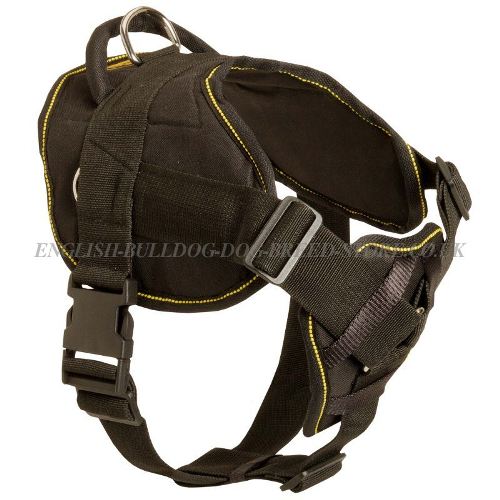 Dog Chest Harness UK for Bullmastiff