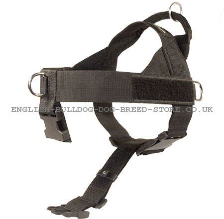 Nylon Dog Harnesses