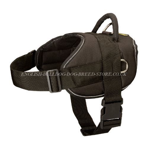 Nylon Dog Harness UK