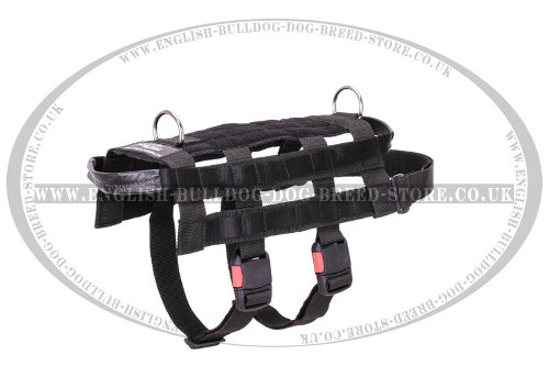 Service Dog Harness UK