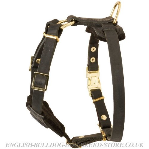 Small Dog Harness Leather