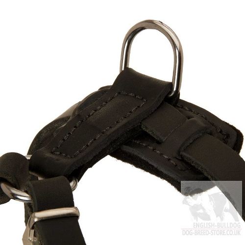 Small Dog Harness UK