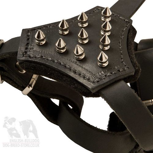 Spiked Leather Dog Harness