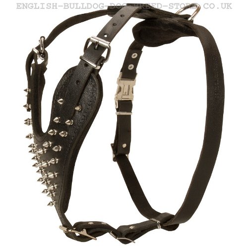 Spiked Dog Harness UK for Bullmastiff