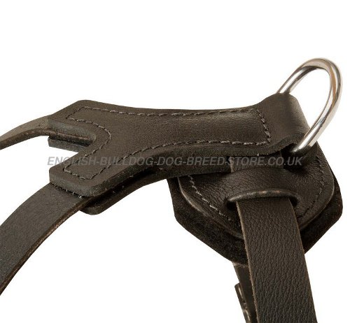Dog Harness for American Bulldog UK