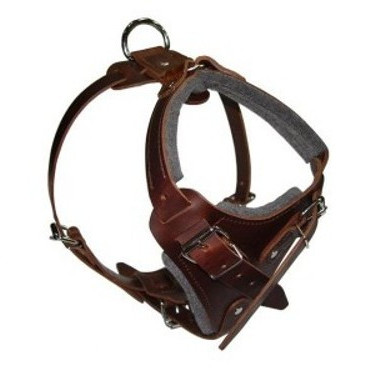 Working Dog Harness