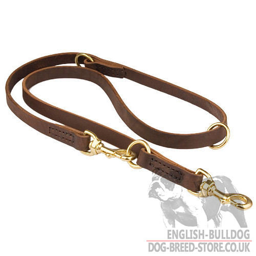 english lead leash