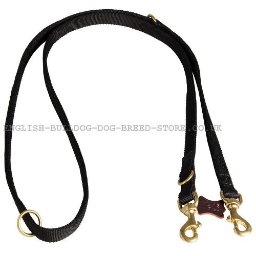 Best Nylon Dog Leash UK