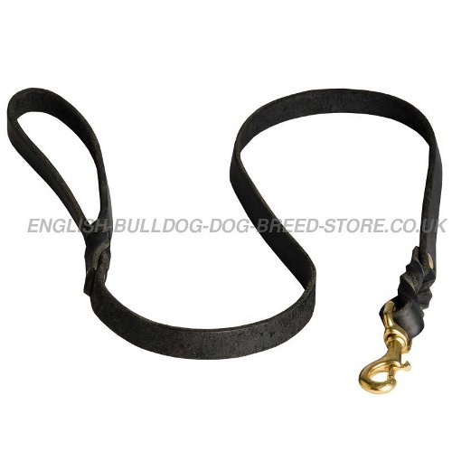 Best Leash for Bulldog