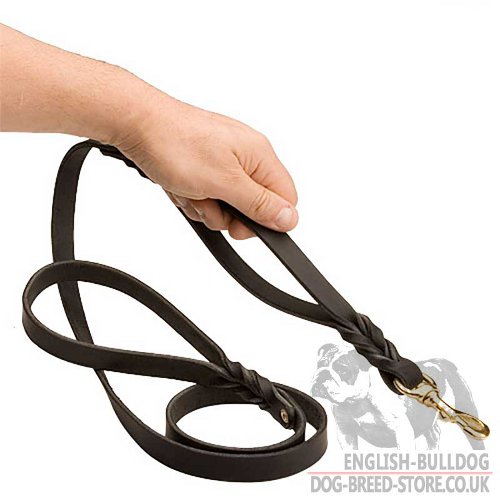 Bulldog Leash UK