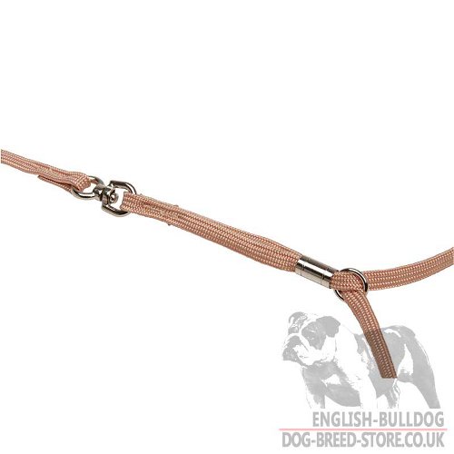 Bulldog Show Collars UK