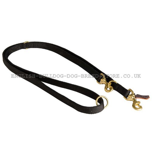 Nylon Dog Leash UK