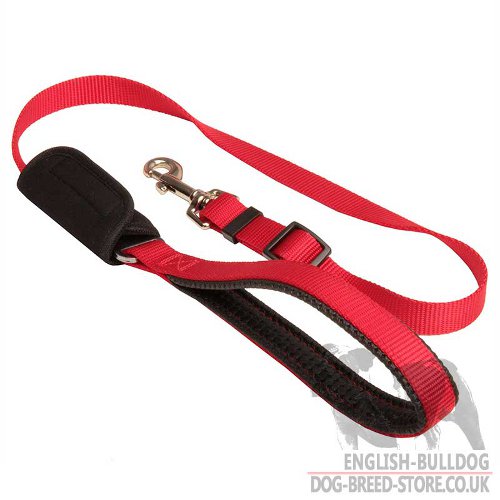 Dog Car Seat Belt