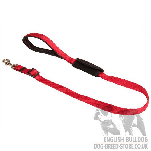 Car Seat Belts for Dogs